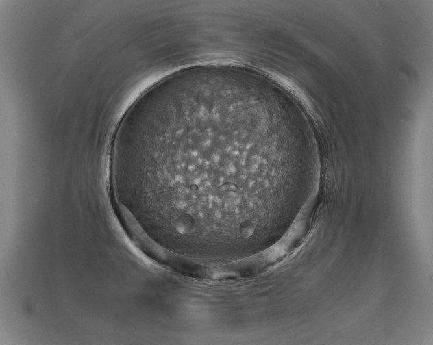 X0000113591383200909251127