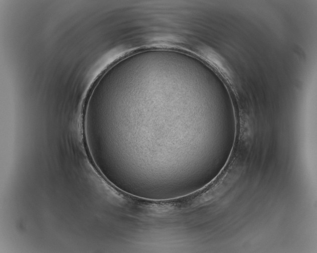 X0000113591384200909251127