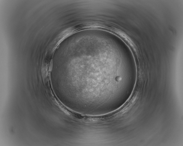 X0000113591385200909251127