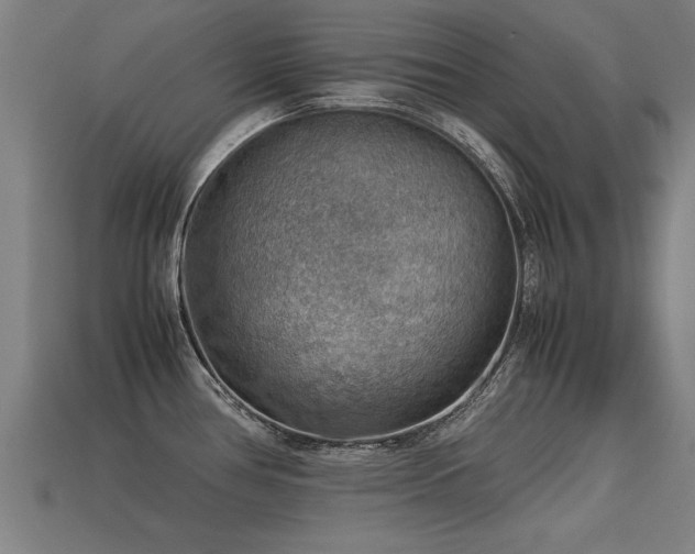 X0000113591386200909251127