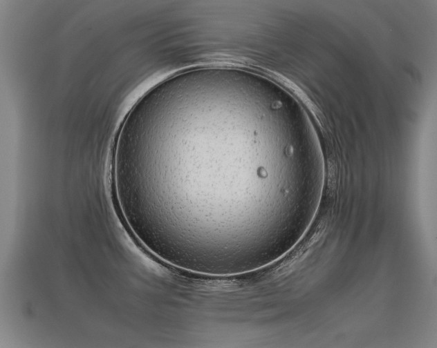 X0000113591387200909251127