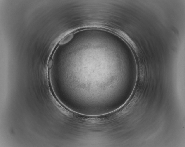 X0000113591388200909251127