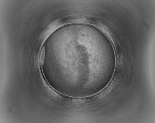 X0000113591389200909251127