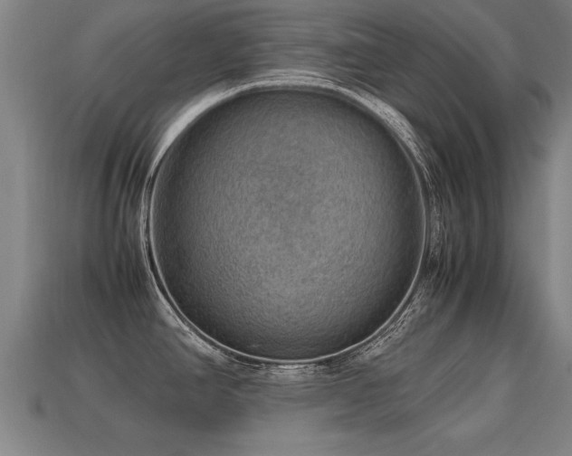 X0000113591390200909251127