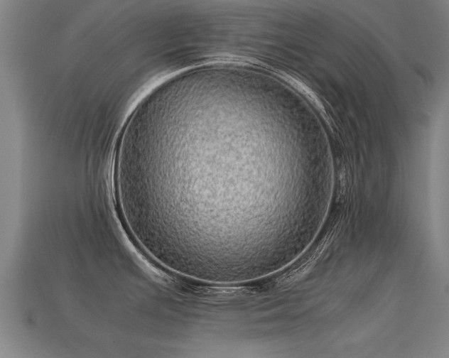 X0000113591391200909251127