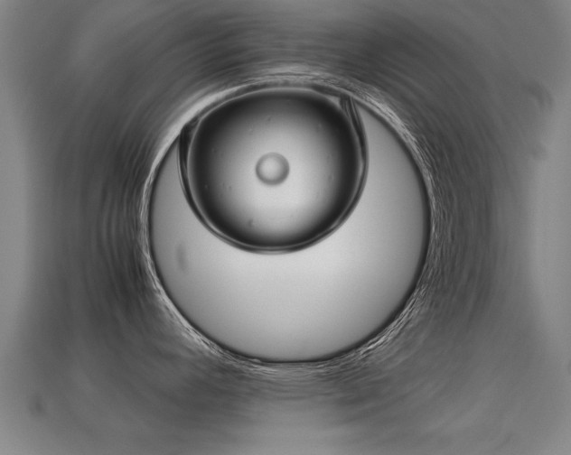 X0000113591392200909251127