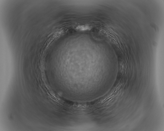 X0000113591393200909251126