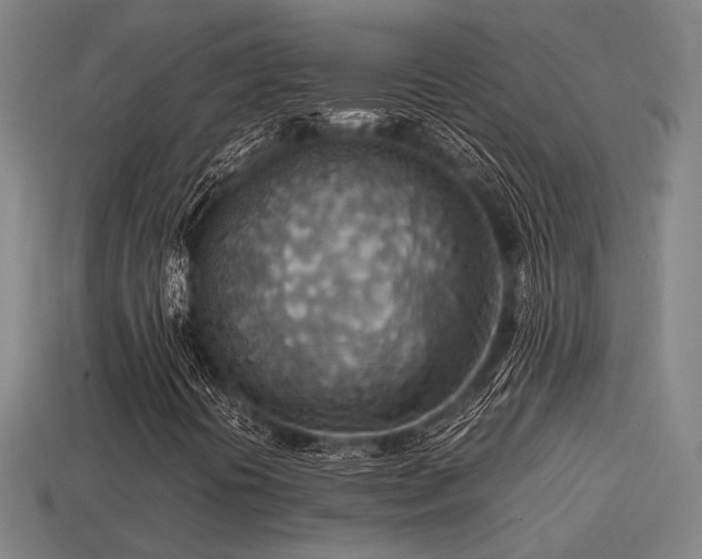 X0000113591394200909251126