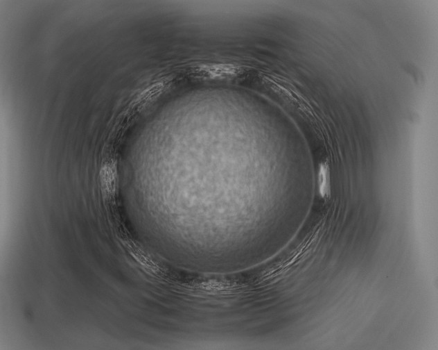 X0000113591395200909251126