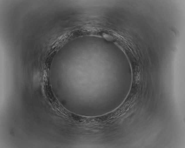 X0000113591397200909251126