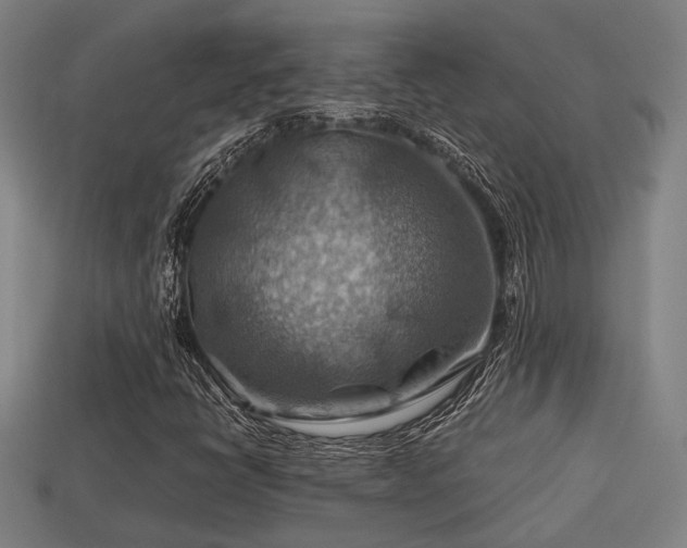 X0000113591398200909251126