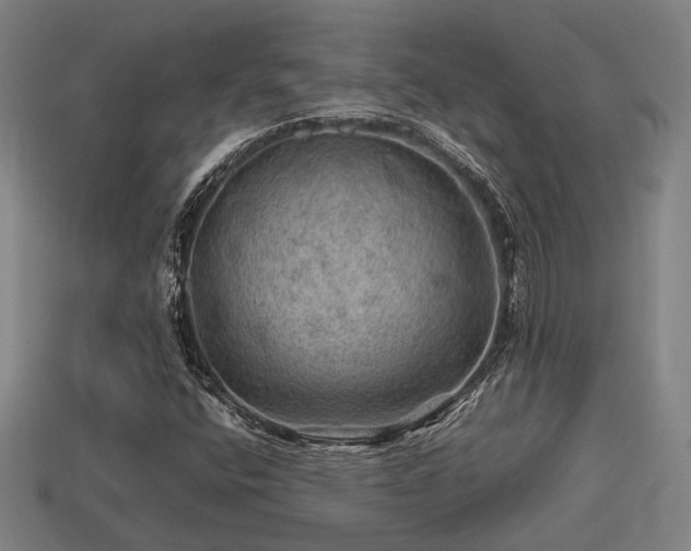 X0000113591400200909251126