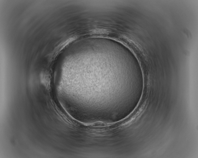 X0000113591401200909251126