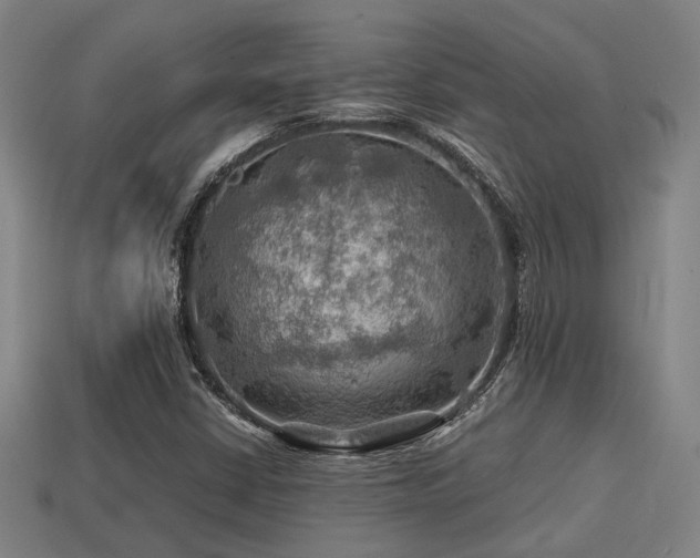 X0000113591402200909251126