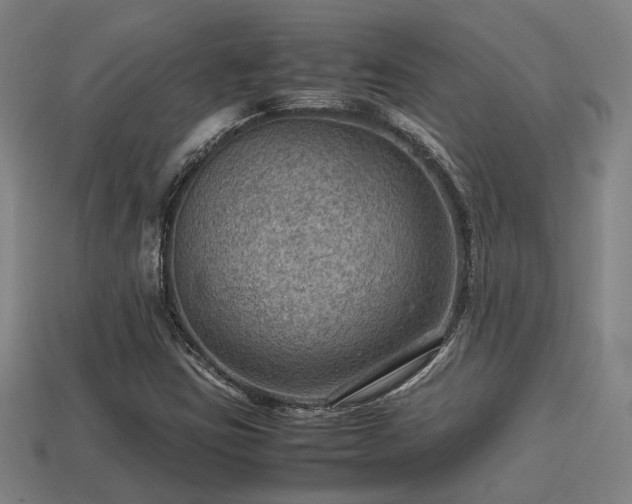 X0000113591403200909251126