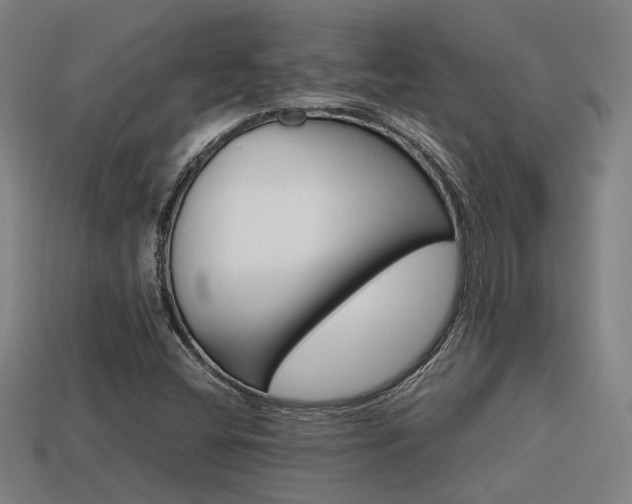 X0000113591404200909251126