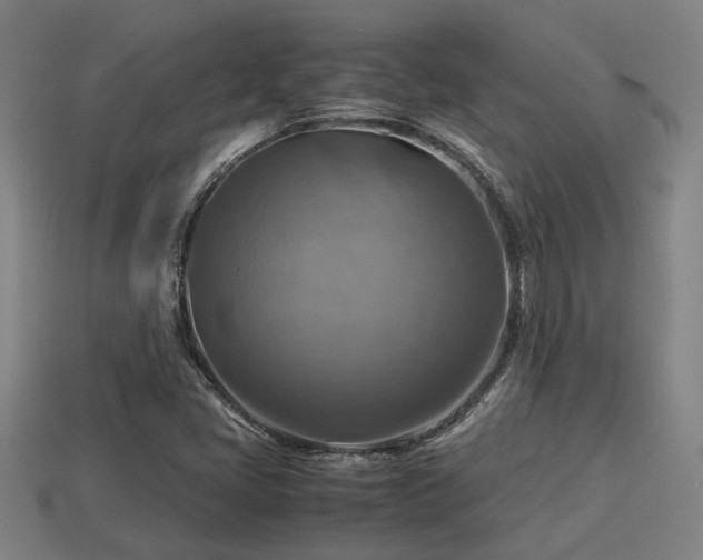 X0000113591405200909251126