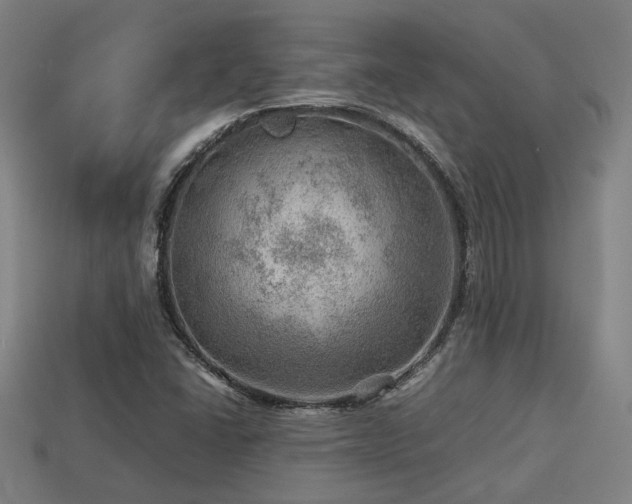 X0000113591406200909251126