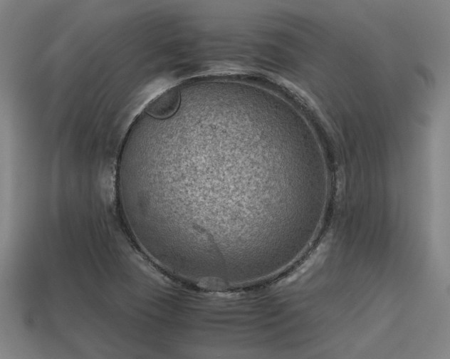 X0000113591409200909251126