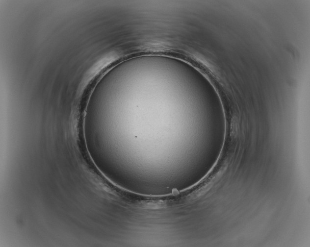 X0000113591410200909251126