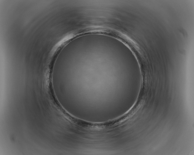 X0000113591411200909251126