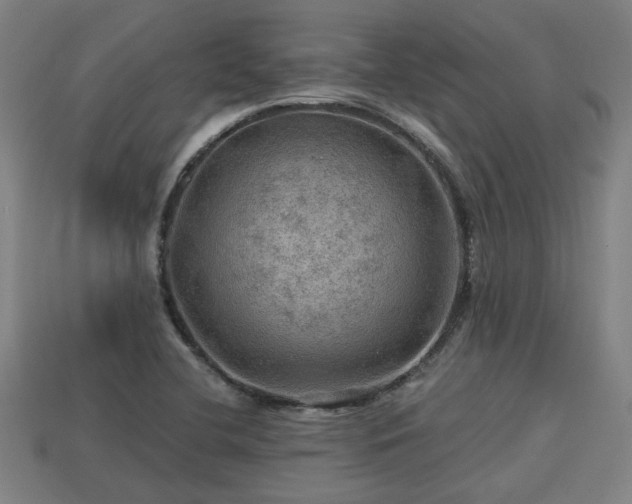 X0000113591412200909251126