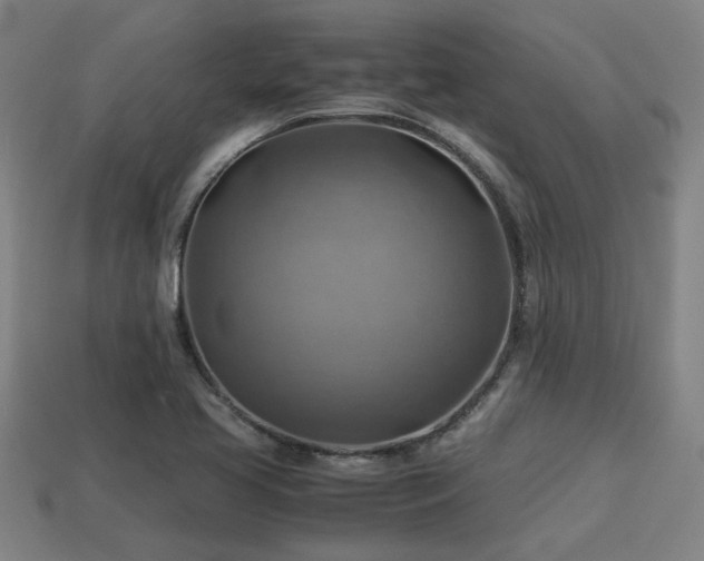 X0000113591413200909251126