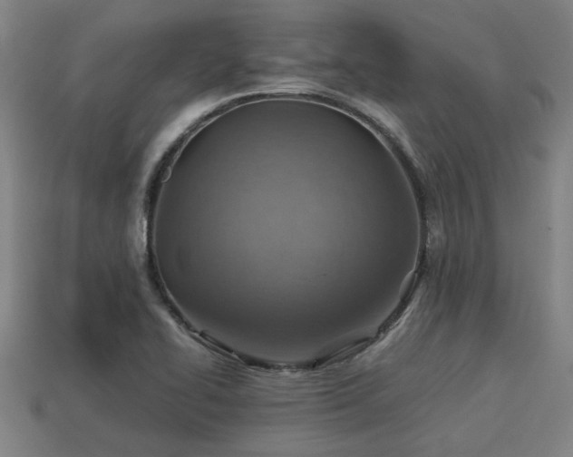 X0000113591414200909251126