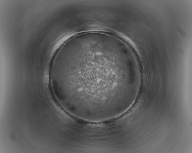 X0000113591415200909251126