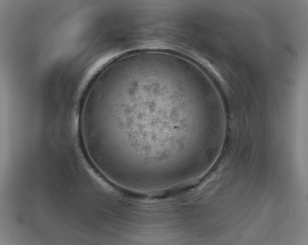 X0000113591416200909251126