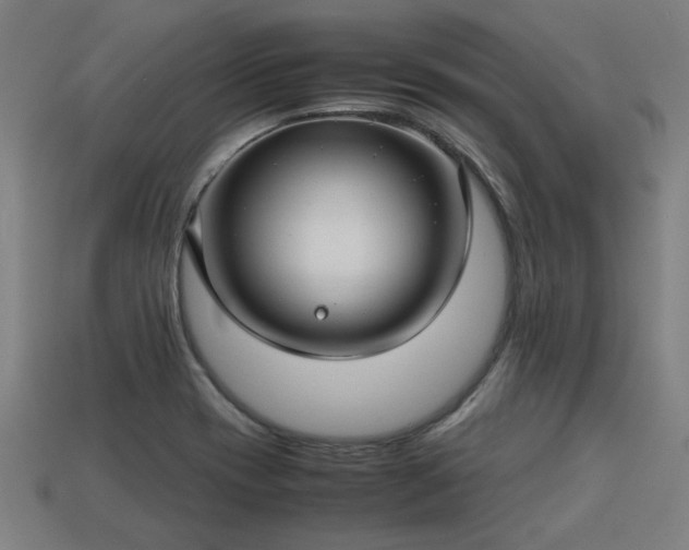 X0000113591417200909251126