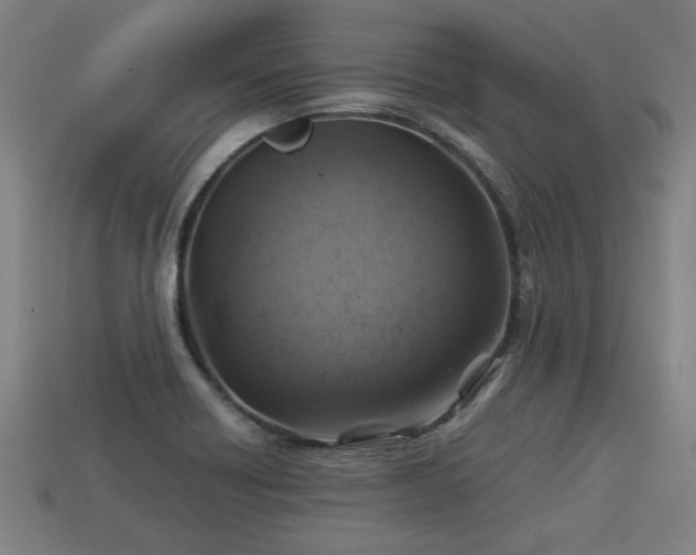 X0000113591418200909251126