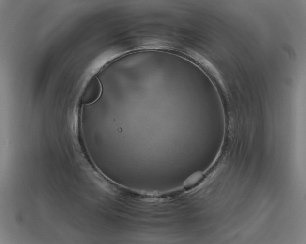 X0000113591419200909251126