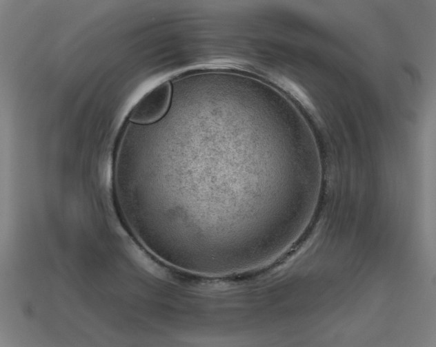 X0000113591420200909251126