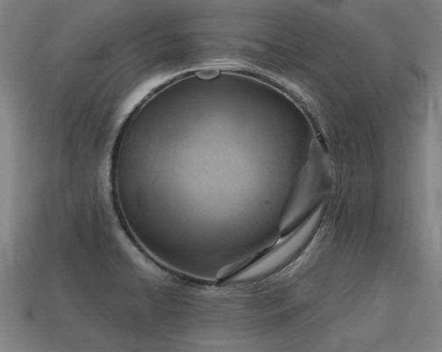 X0000113591422200909251126