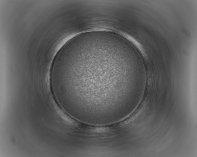 X0000113591423200909251126