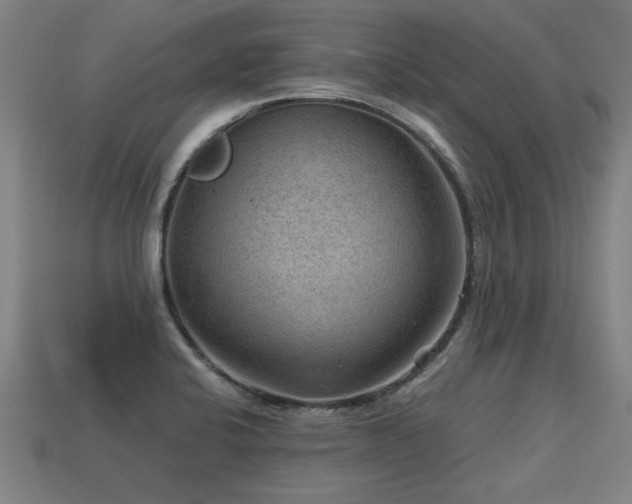 X0000113591424200909251126