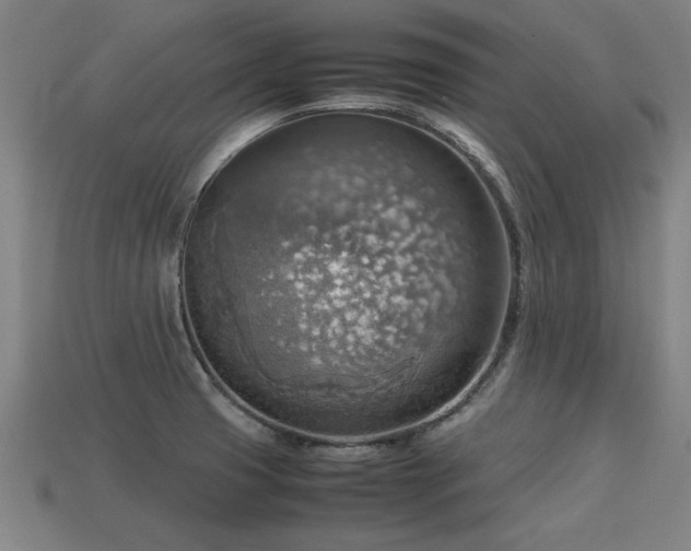 X0000113591425200909251126