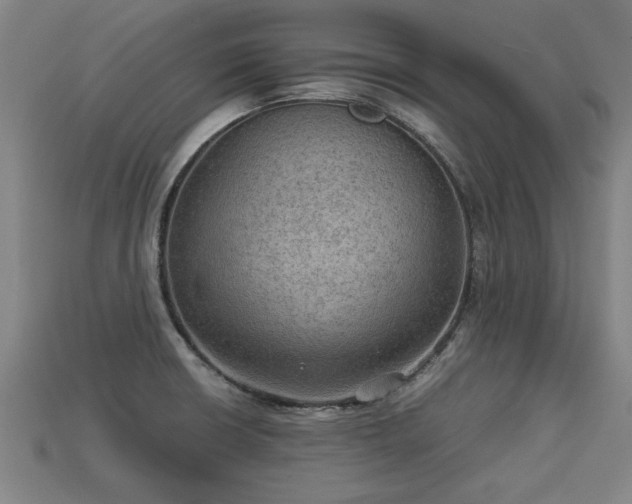 X0000113591426200909251126