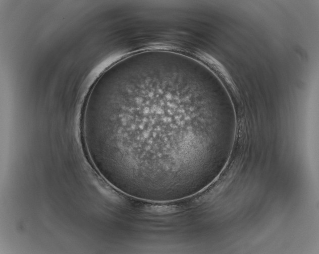 X0000113591427200909251126