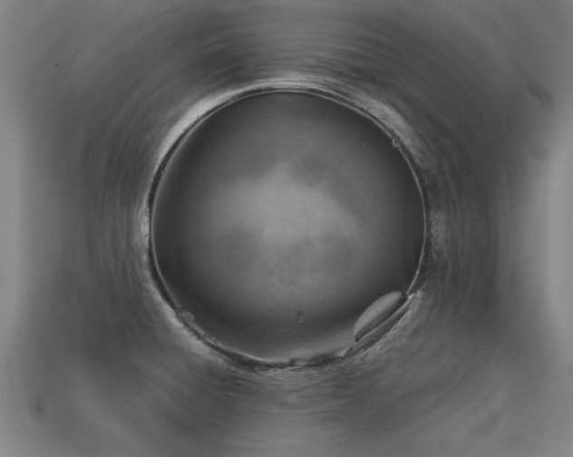 X0000113591428200909251126