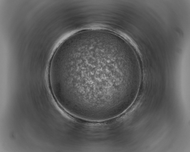 X0000113591429200909251127