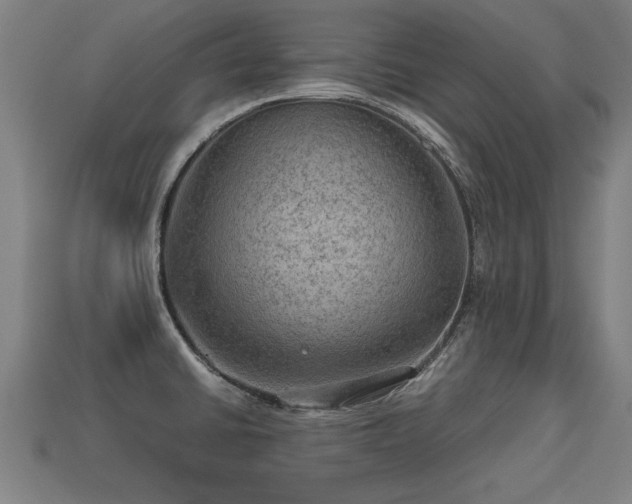 X0000113591430200909251127