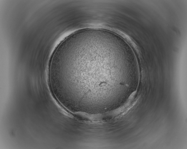 X0000113591432200909251127