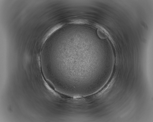 X0000113591433200909251127