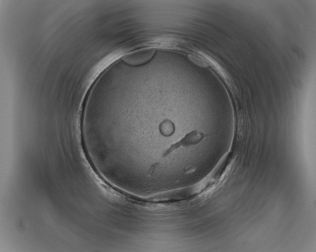 X0000113591434200909251127