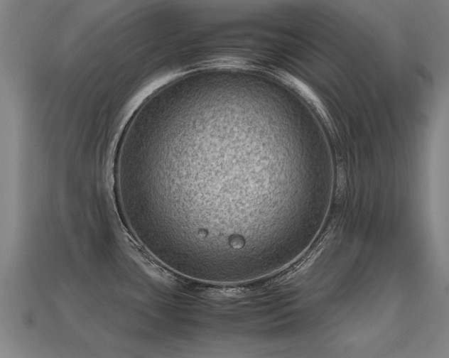 X0000113591435200909251127