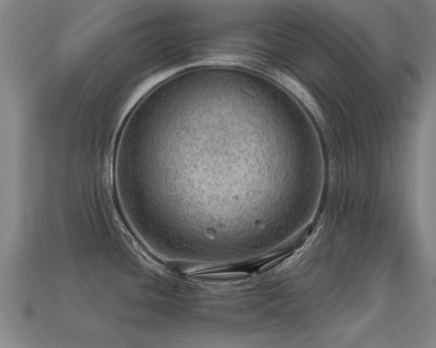 X0000113591436200909251127