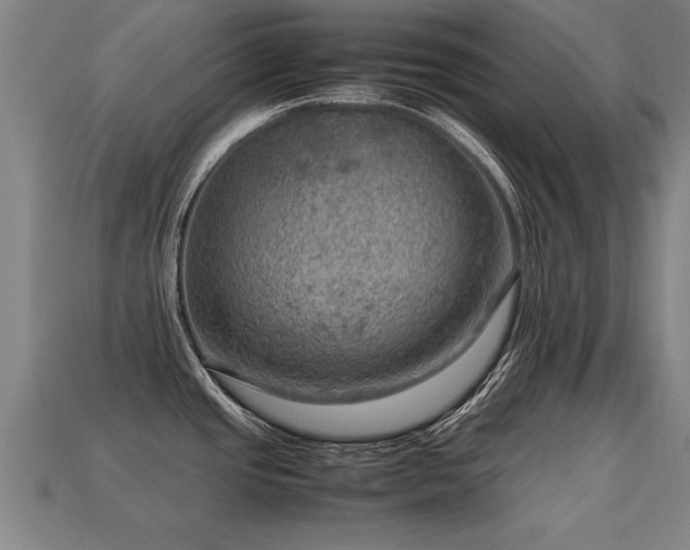 X0000113591437200909251127