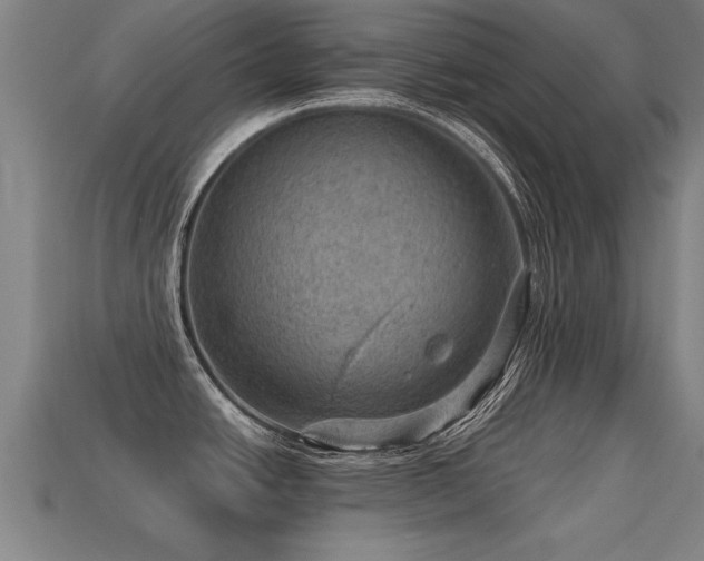 X0000113591438200909251127